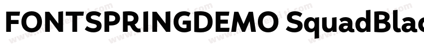 FONTSPRINGDEMO SquadBlackRegular字体转换